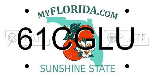61CGLU Florida License Plate