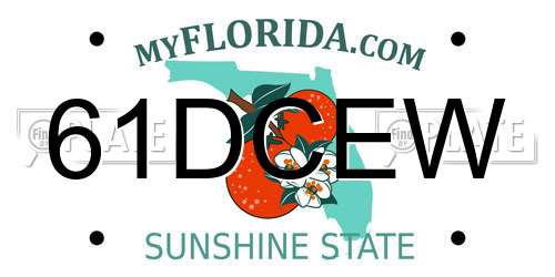 61DCEW Florida License Plate