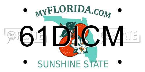 61DICM Florida License Plate