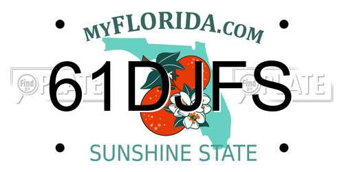 61DJFS Florida License Plate