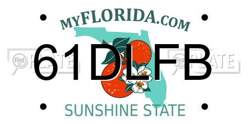61DLFB Florida License Plate