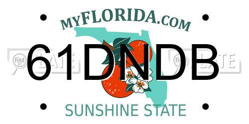 61DNDB Florida License Plate