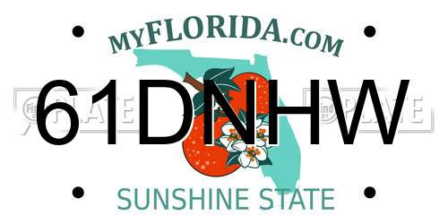 61DNHW Florida License Plate