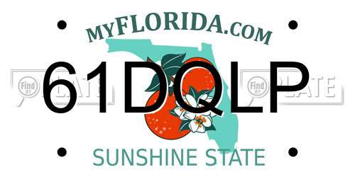 61DQLP Florida License Plate