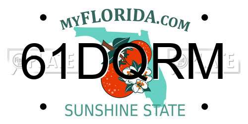 61DQRM Florida License Plate