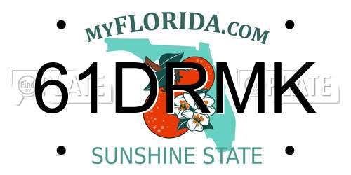 61DRMK Florida License Plate