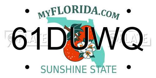61DUWQ Florida License Plate