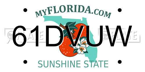 61DVUW Florida License Plate