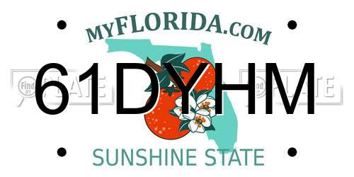 61DYHM Florida License Plate