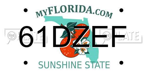61DZEF Florida License Plate