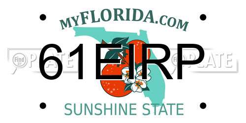 61EIRP Florida License Plate