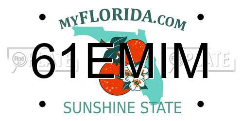 61EMIM Florida License Plate