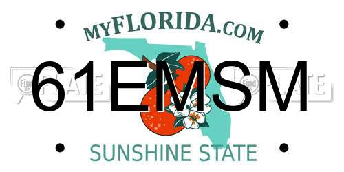 61EMSM Florida License Plate