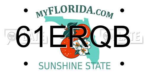 61ERQB Florida License Plate
