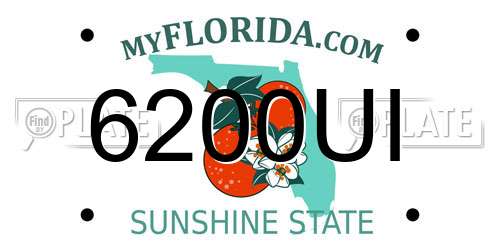 6200UI Florida License Plate