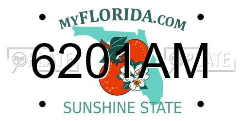 6201AM Florida License Plate
