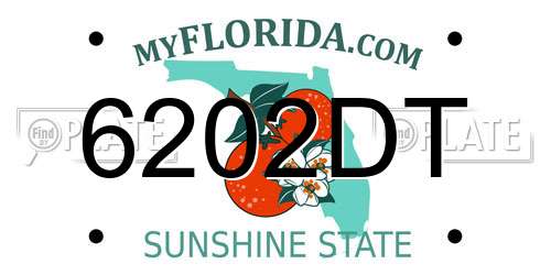 6202DT Florida License Plate