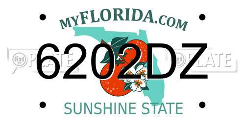6202DZ Florida License Plate