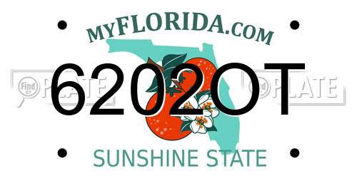 6202OT Florida License Plate