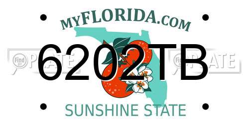 6202TB Florida License Plate