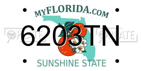 6203TN Florida License Plate