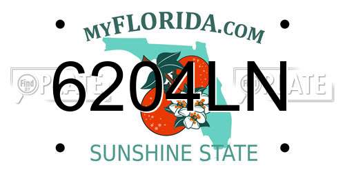 6204LN Florida License Plate