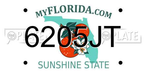 6205JT Florida License Plate