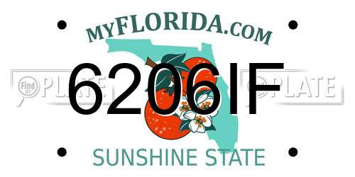 6206IF Florida License Plate