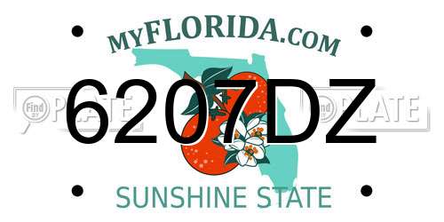 6207DZ Florida License Plate
