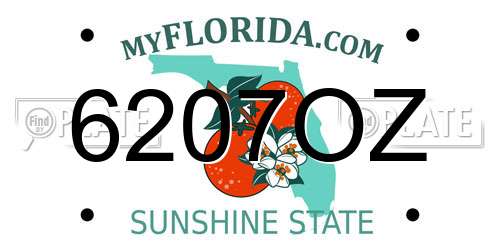 6207OZ Florida License Plate