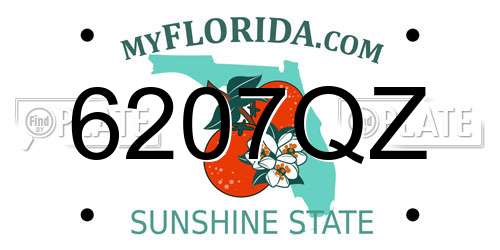 6207QZ Florida License Plate