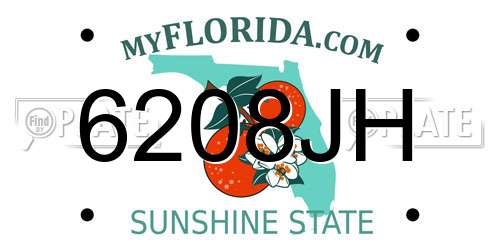 6208JH Florida License Plate