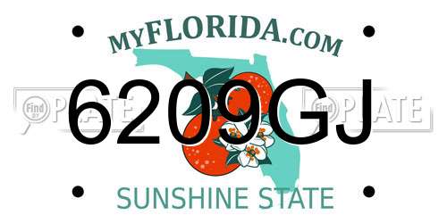 6209GJ Florida License Plate