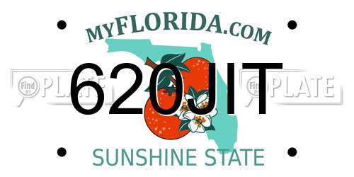 620JIT Florida License Plate