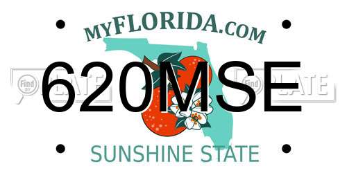 620MSE Florida License Plate