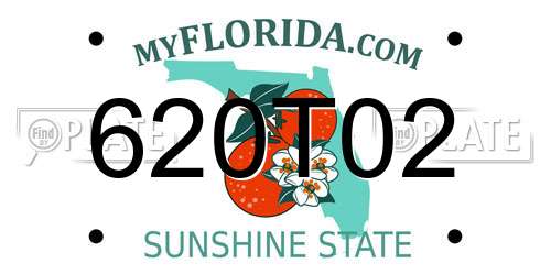 620T02 Florida License Plate