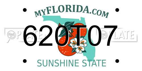 620T07 Florida License Plate