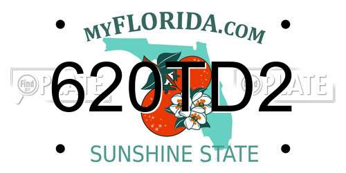 620TD2 Florida License Plate