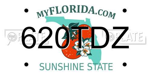 620TDZ Florida License Plate