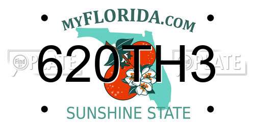 620TH3 Florida License Plate
