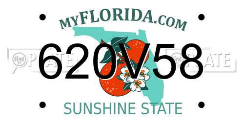 620V58 Florida License Plate