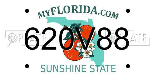 620V88 Florida License Plate