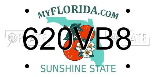 620VB8 Florida License Plate