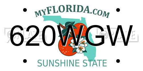 620WGW Florida License Plate
