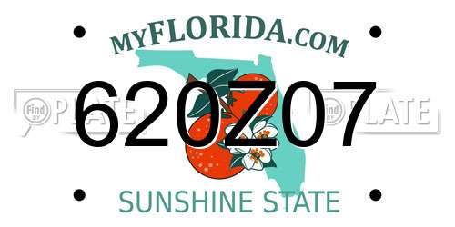 620Z07 Florida License Plate