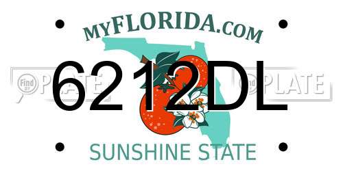 6212DL Florida License Plate