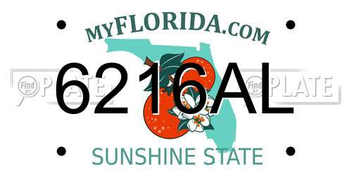 6216AL Florida License Plate