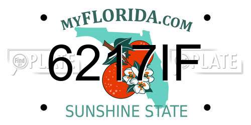 6217IF Florida License Plate