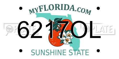 6217OL Florida License Plate