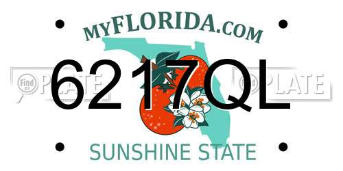 6217QL Florida License Plate